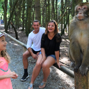 Monkey Mountain Salem