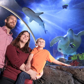 SEA LIFE Konstanz