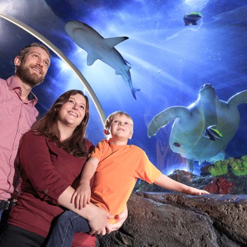 SEA LIFE Constance