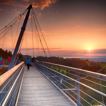 skywalk allgäu Naturerlebnispark