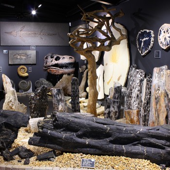 World of the crystals