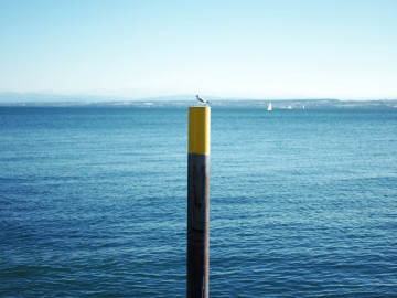 Sommerfreizeit III