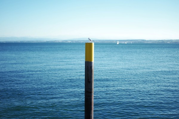 Sommerfreizeit III