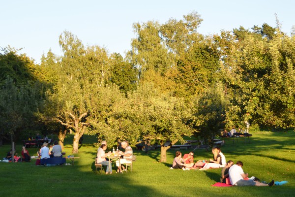 Sommerfeizeit IV