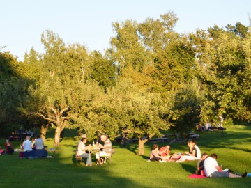 Sommerfreizeit IV
